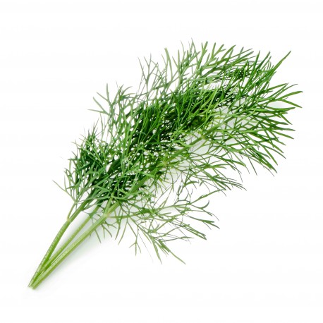 Lingot® - BIO Dill