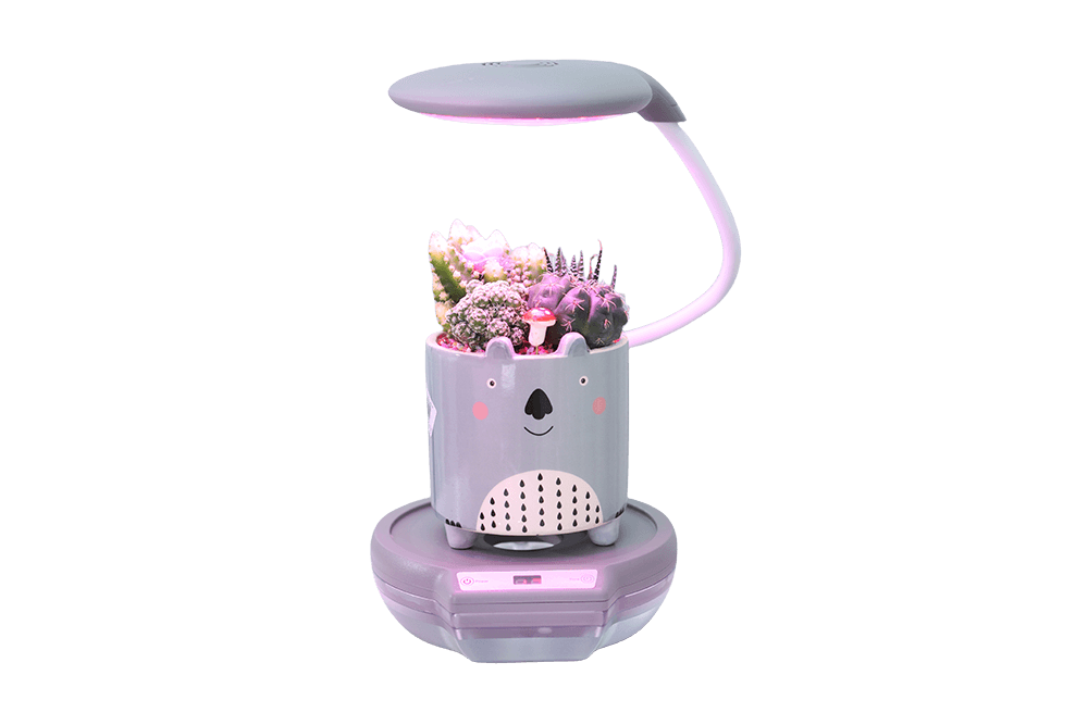 LITRAX LX205 – MAJA Blumen-Booster