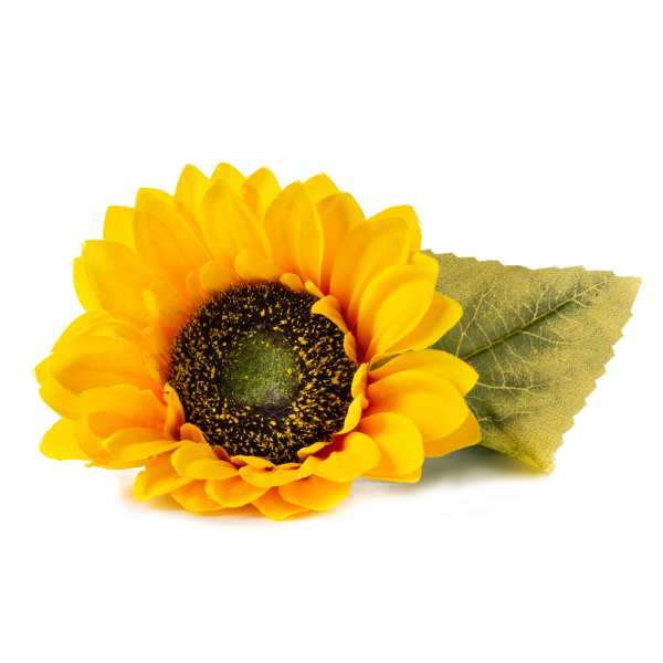 Lingot® - Bio Zwergsonnenblume