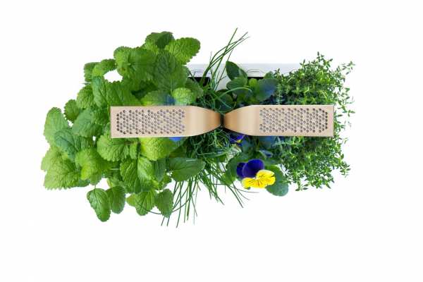 2 Höhen verstellbare High-End Leuchten