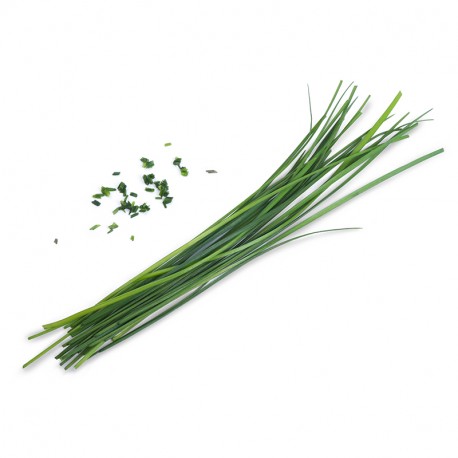 Lingot® - Chinesicher Schnittlauch BIO