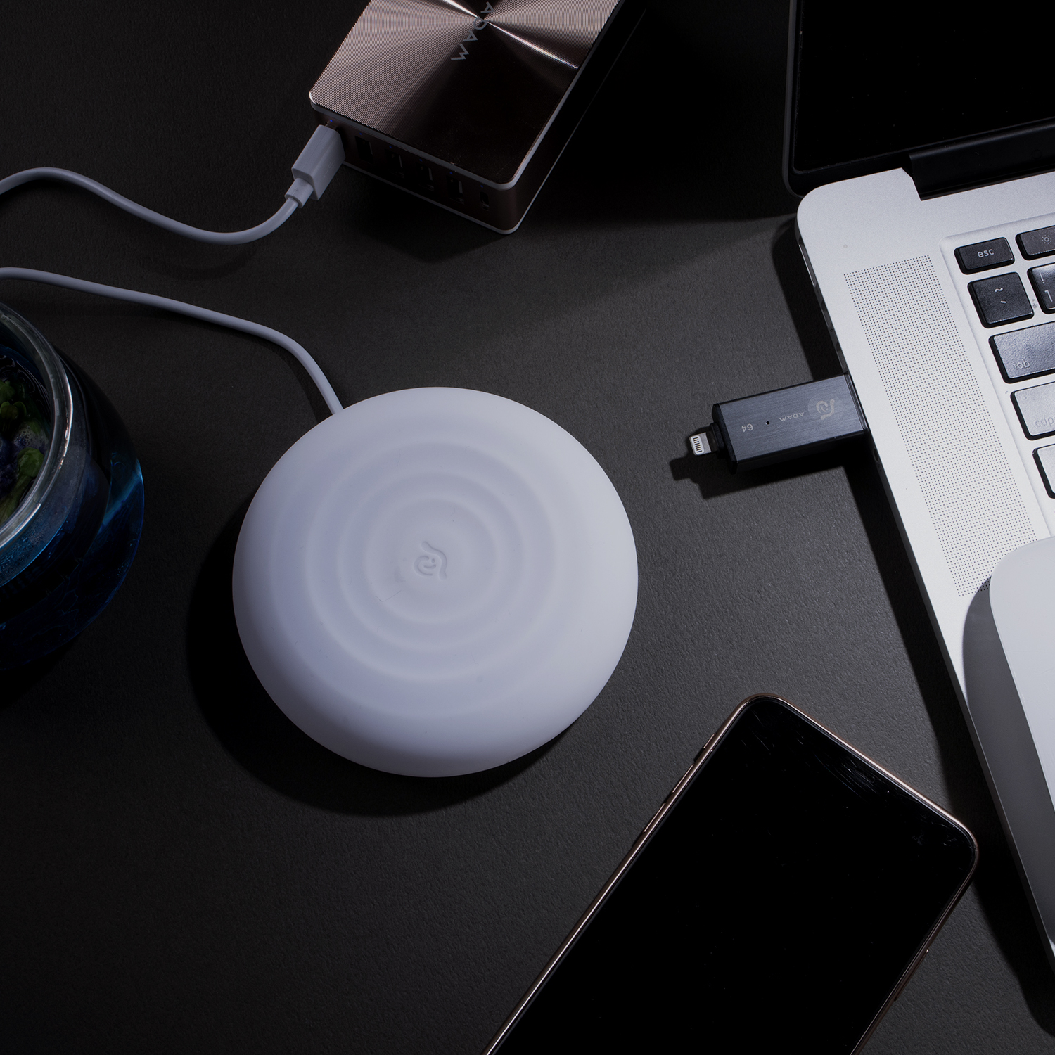 ADAM_OMNIA-Q_LS_10_1500px