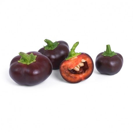 Lingot® Mini Paprika Schokolade BIO