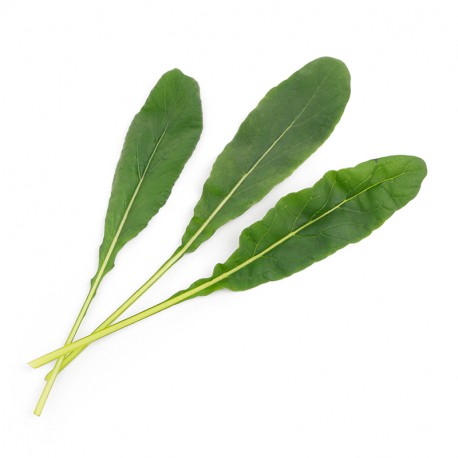 Lingot® - BIO Mibuna