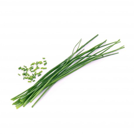 Lingot® - BIO Schnittlauch