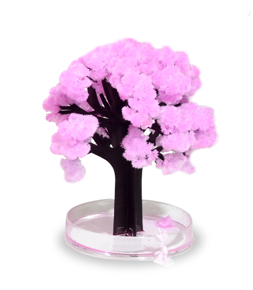 Magic Sakura - Kirschblüten