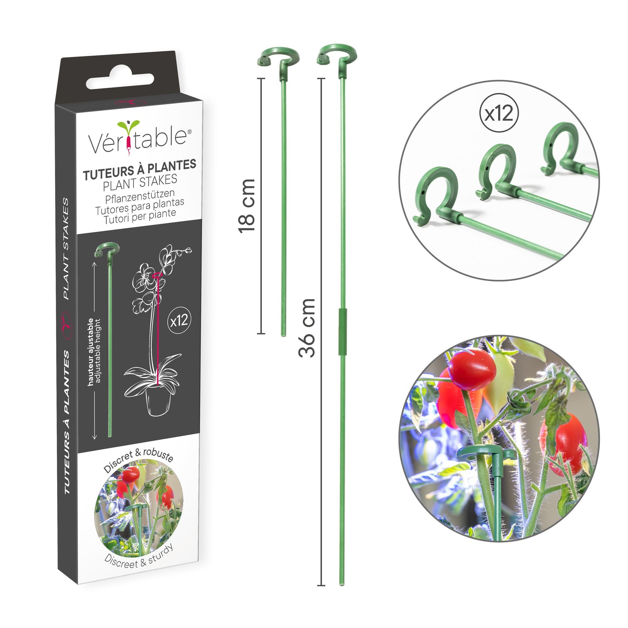 Véritable® 12 Stück Pflanzenpfähle